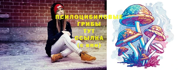 mdpv Алзамай