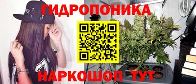 apvp Новозыбков