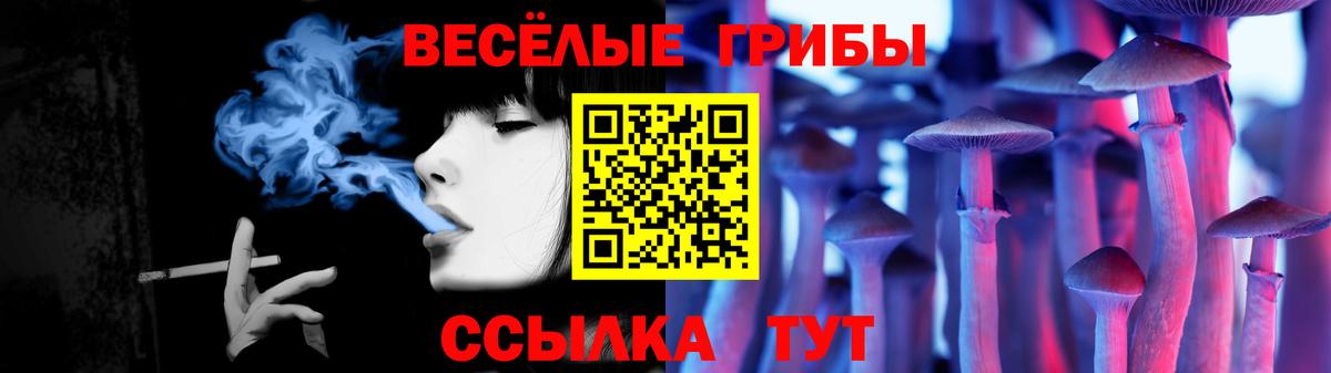 Галлюциногенные грибы MAGIC MUSHROOMS  Галлюциногенные грибы мухоморы  Якутск  Вход с VPN 
